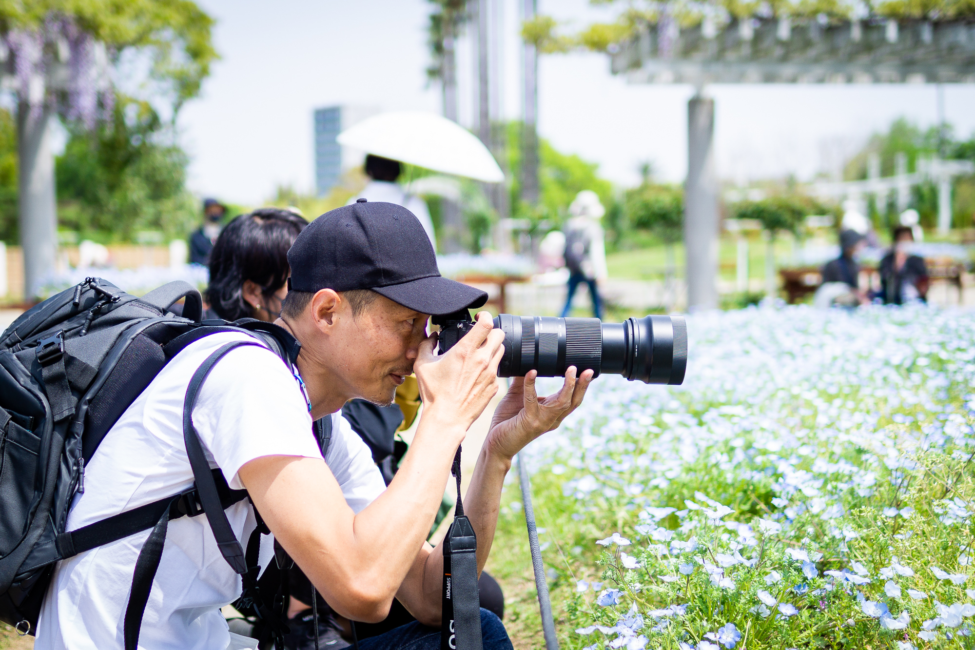 大阪のメディアカメラマン今井剛による出張撮影 ゴーフォト公式サイト